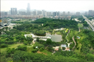 元美公園園林綠化養(yǎng)護(hù)